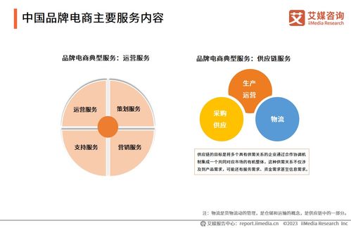 2023年中國品牌電商服務行業研究報告 信息咨詢服務解析